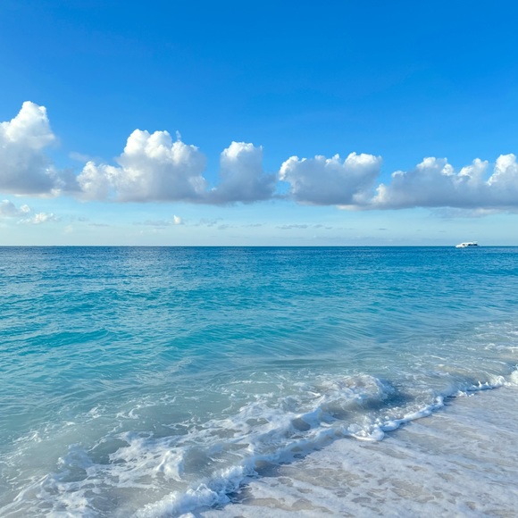 Meet your Posher, Angela - Picture 2 of 2